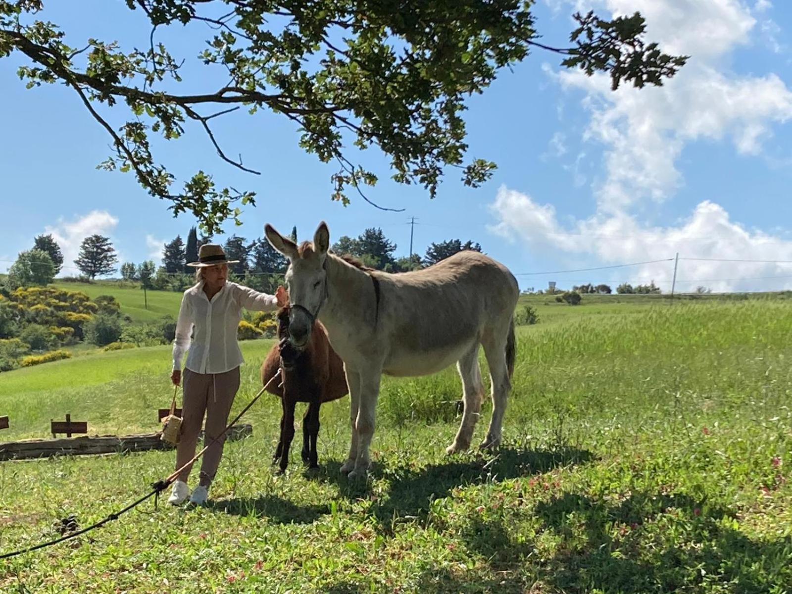Agriturismo Selvella Radicofani Bagian luar foto