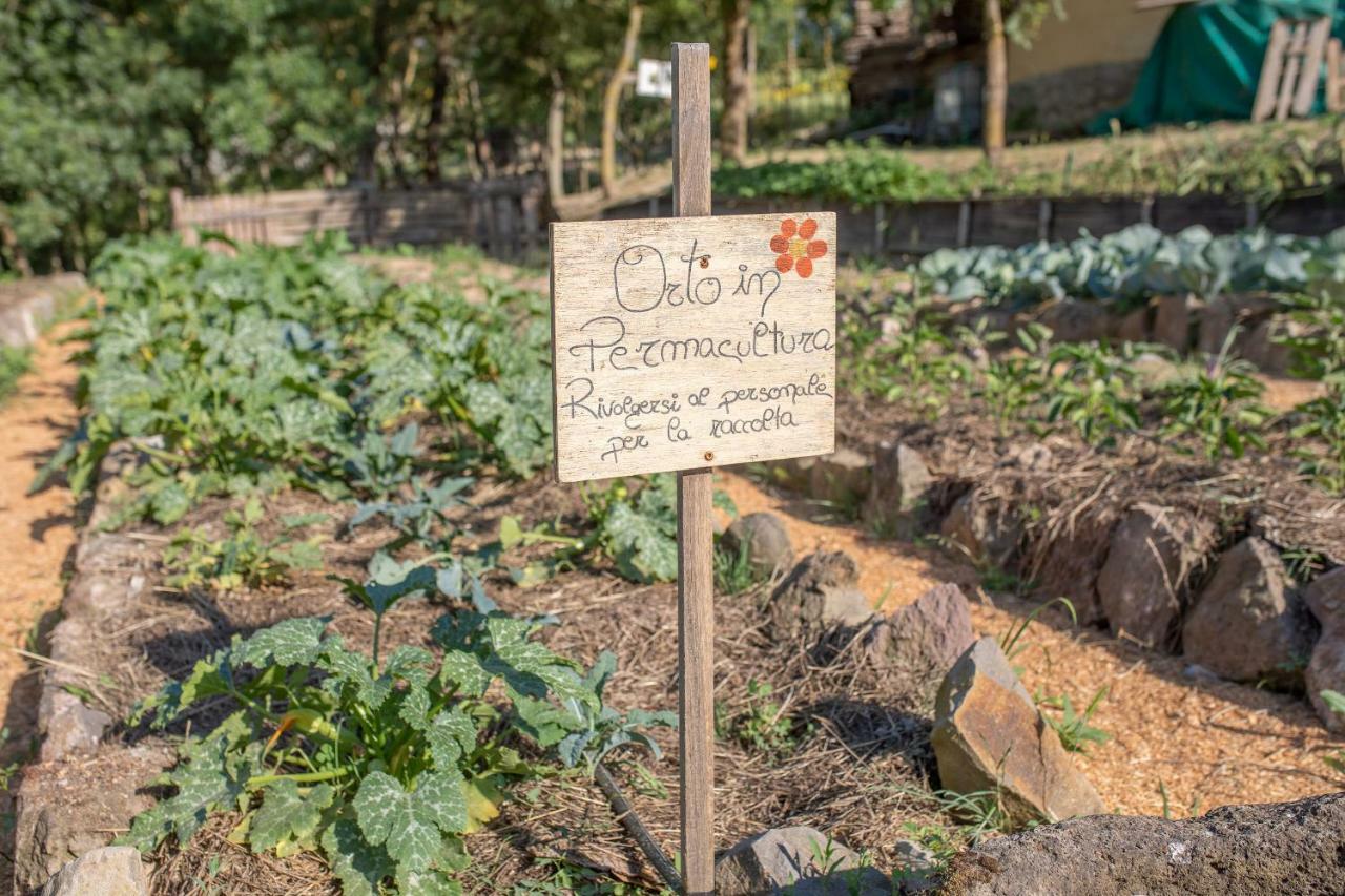 Agriturismo Selvella Radicofani Bagian luar foto